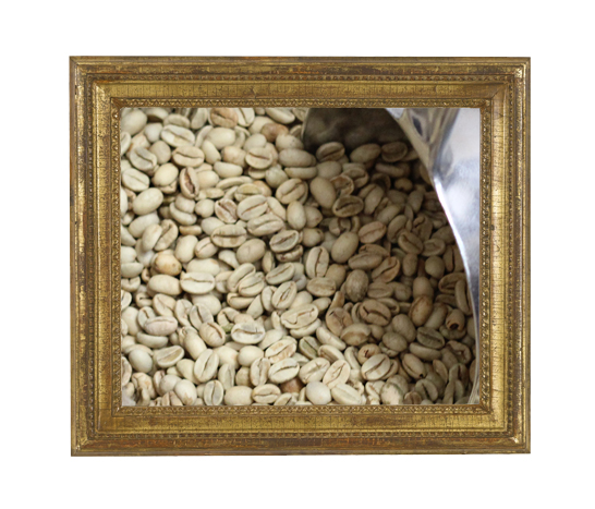 Rohkaffee Indien Monsooned Malabar Aspinwall AA